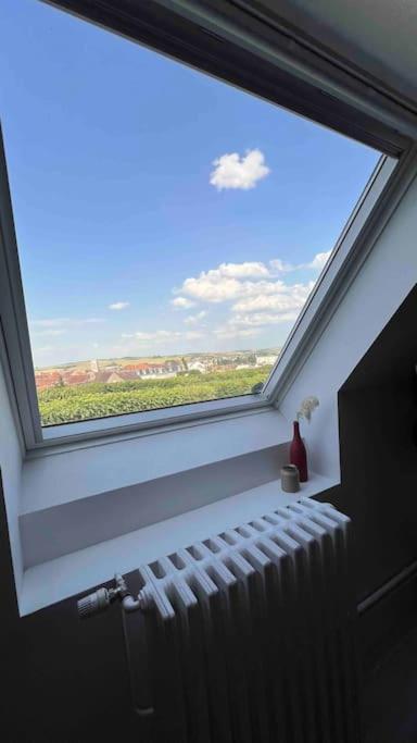 Charme Plein Coeur Auxerre - Parking Prive Apartman Kültér fotó