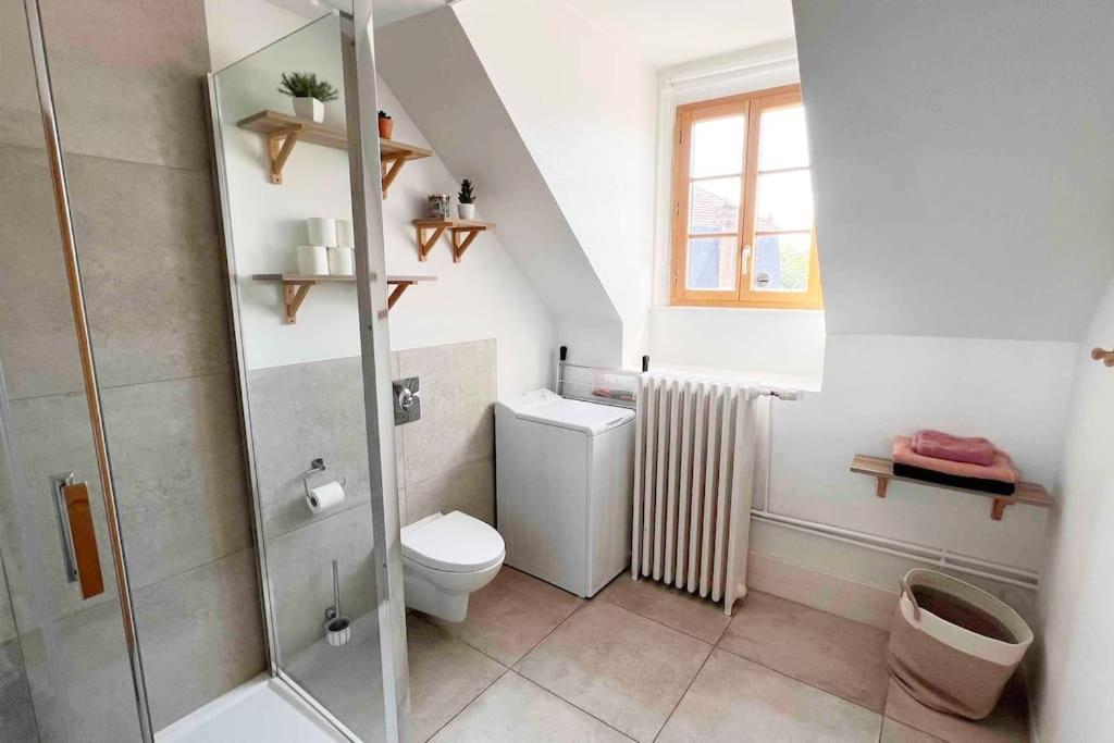 Charme Plein Coeur Auxerre - Parking Prive Apartman Kültér fotó